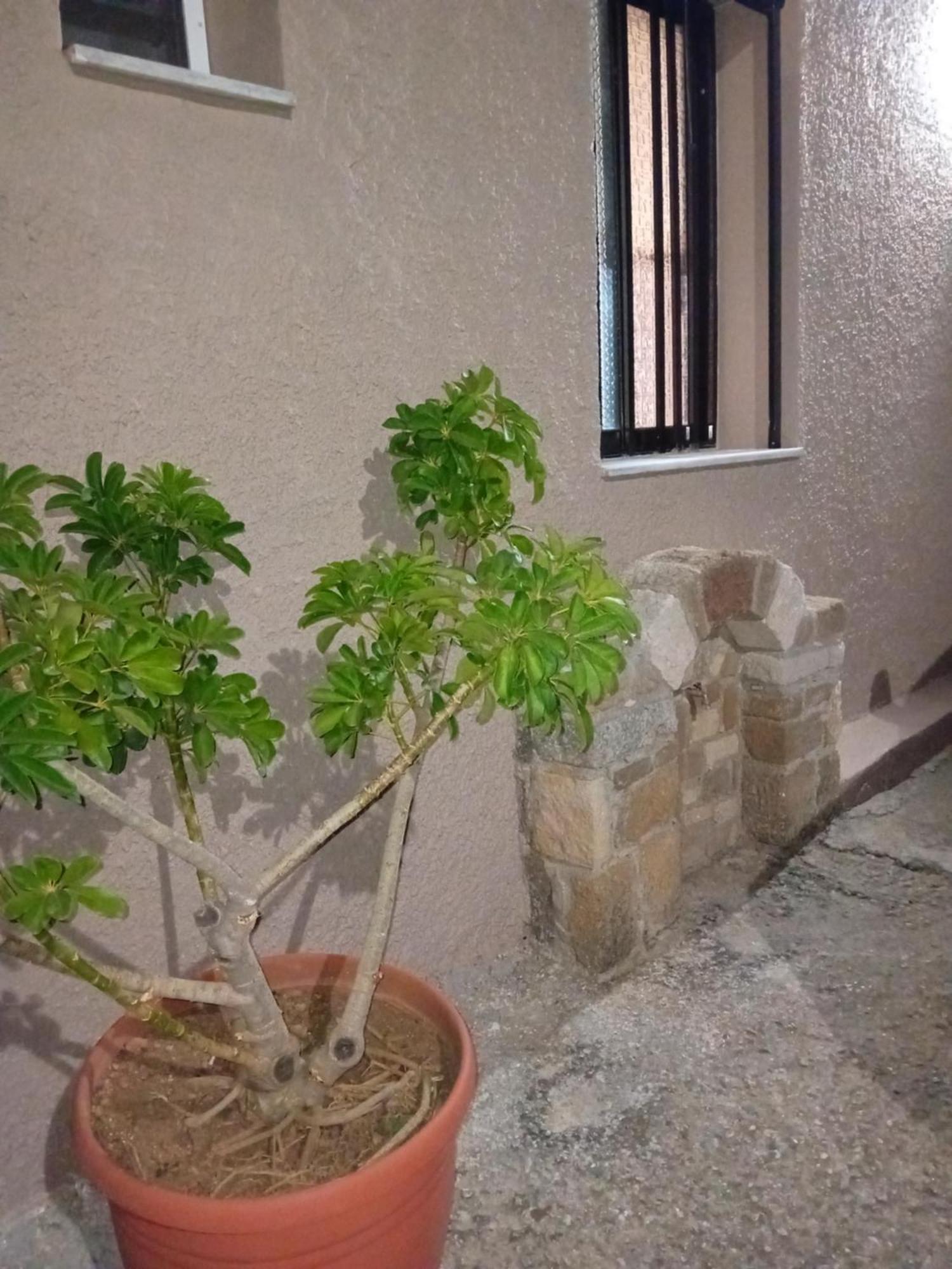 Villa Casa Artemis Plátanos Esterno foto